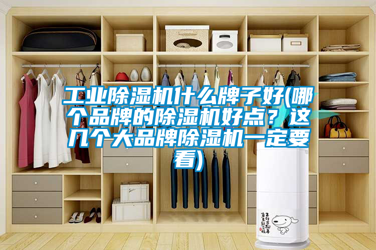 工業(yè)除濕機(jī)什么牌子好(哪個(gè)品牌的除濕機(jī)好點(diǎn)？這幾個(gè)大品牌除濕機(jī)一定要看)