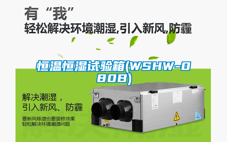 恒溫恒濕試驗箱(WSHW-080B)