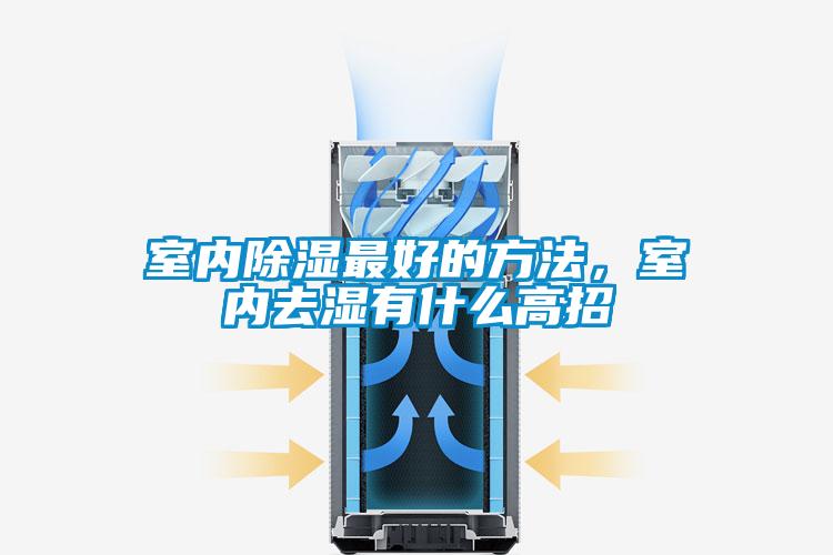 室內除濕最好的方法，室內去濕有什么高招