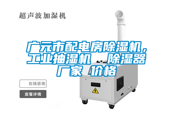 廣元市配電房除濕機(jī)，工業(yè)抽濕機(jī)  除濕器廠家 價(jià)格