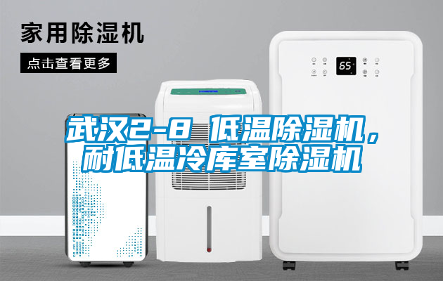 武漢2-8℃低溫除濕機(jī)，耐低溫冷庫室除濕機(jī)