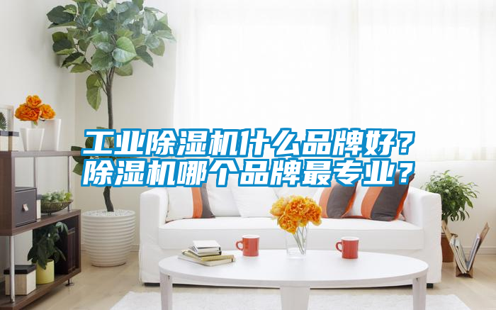 工業除濕機什么品牌好？除濕機哪個品牌最專業？