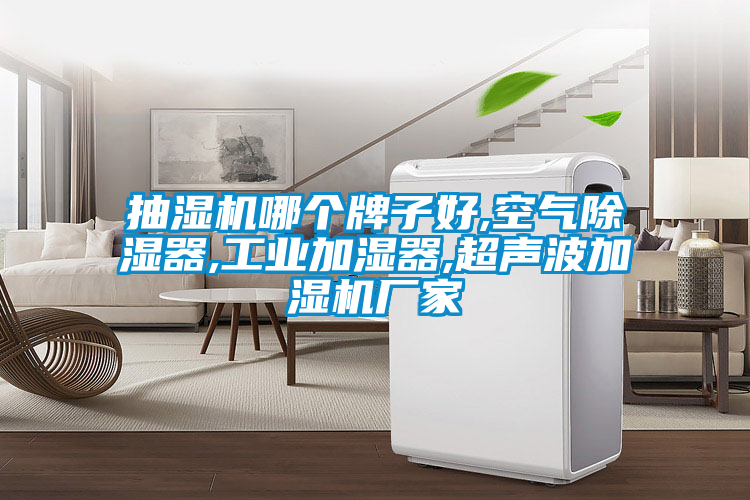 抽濕機哪個牌子好,空氣除濕器,工業加濕器,超聲波加濕機廠家