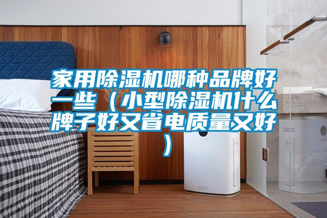 家用除濕機(jī)哪種品牌好一些（小型除濕機(jī)什么牌子好又省電質(zhì)量又好）