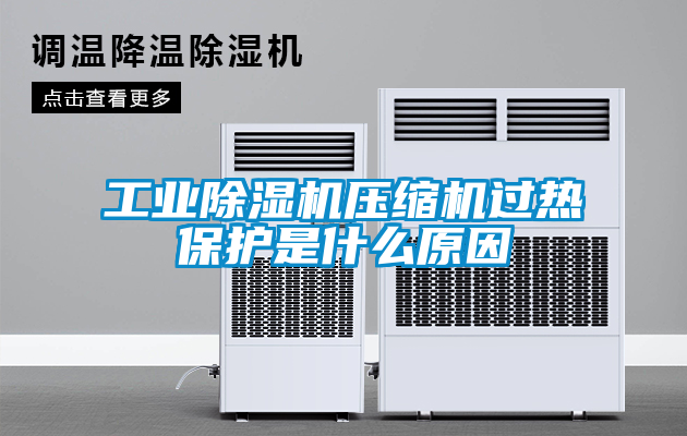 工業(yè)除濕機(jī)壓縮機(jī)過熱保護(hù)是什么原因