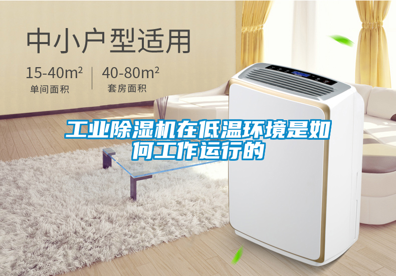 工業(yè)除濕機在低溫環(huán)境是如何工作運行的