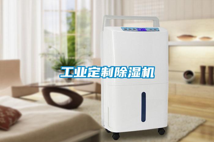 工業(yè)定制除濕機(jī)