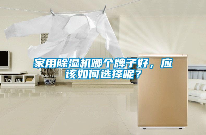 家用除濕機哪個牌子好，應該如何選擇呢？