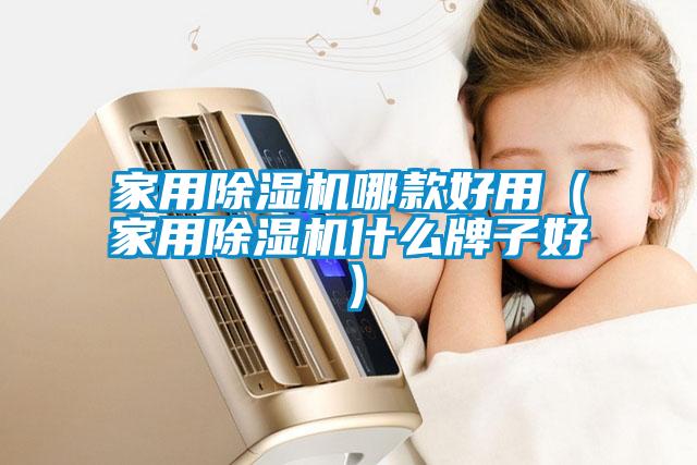家用除濕機(jī)哪款好用（家用除濕機(jī)什么牌子好）