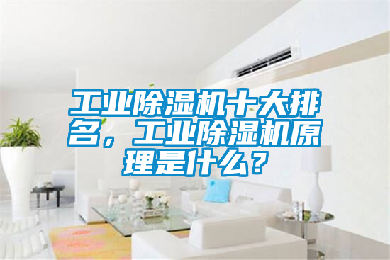 工業(yè)除濕機(jī)十大排名，工業(yè)除濕機(jī)原理是什么？