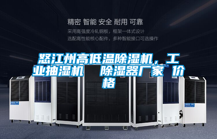 怒江州高低溫除濕機，工業(yè)抽濕機  除濕器廠家 價格