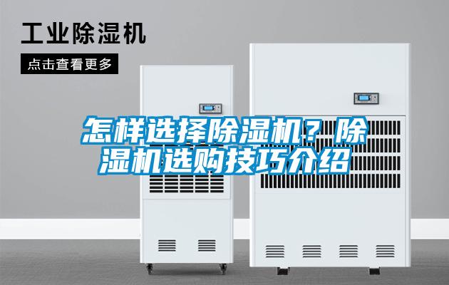 怎樣選擇除濕機？除濕機選購技巧介紹