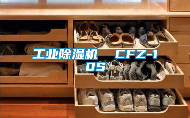 工業(yè)除濕機(jī)  CFZ-10S