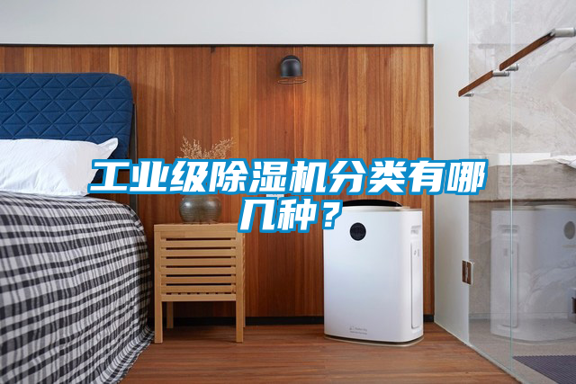 工業級除濕機分類有哪幾種？