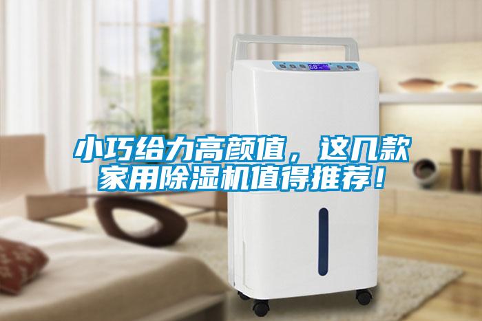 小巧給力高顏值，這幾款家用除濕機值得推薦！