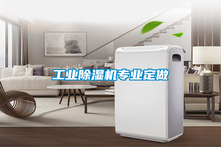 工業除濕機專業定做