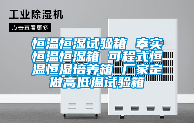 恒溫恒濕試驗箱 奉實恒溫恒濕箱 可程式恒溫恒濕培養箱 廠家定做高低溫試驗箱