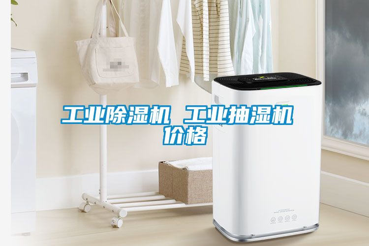 工業(yè)除濕機(jī) 工業(yè)抽濕機(jī) 價(jià)格