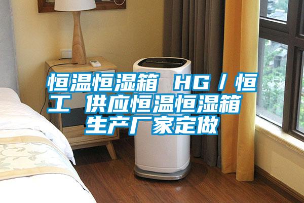 恒溫恒濕箱 HG／恒工 供應恒溫恒濕箱 生產廠家定做