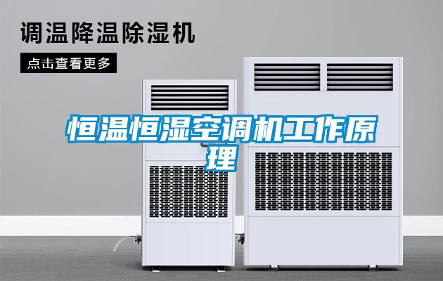 恒溫恒濕空調機工作原理