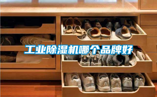 工業(yè)除濕機(jī)哪個(gè)品牌好