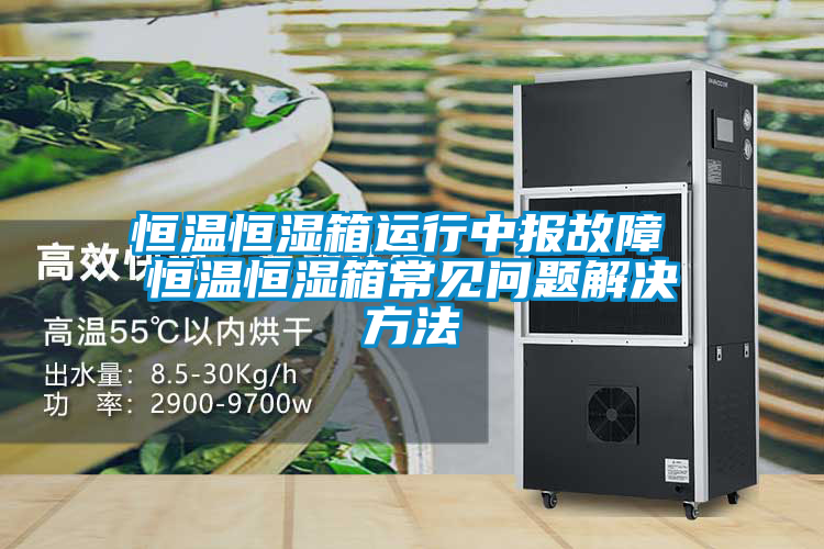 恒溫恒濕箱運(yùn)行中報(bào)故障 恒溫恒濕箱常見(jiàn)問(wèn)題解決方法