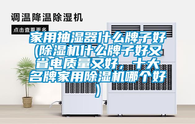 家用抽濕器什么牌子好(除濕機(jī)什么牌子好又省電質(zhì)量又好，十大名牌家用除濕機(jī)哪個(gè)好)