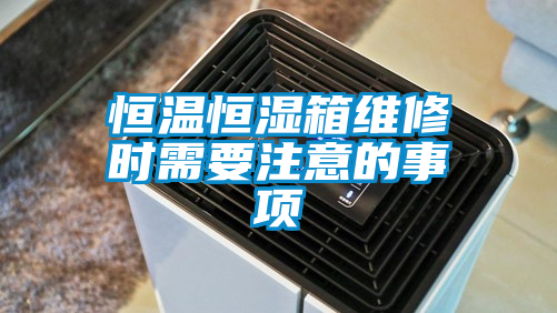恒溫恒濕箱維修時需要注意的事項