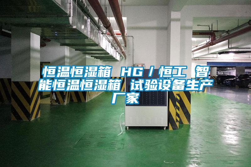 恒溫恒濕箱 HG／恒工 智能恒溫恒濕箱 試驗設備生產廠家