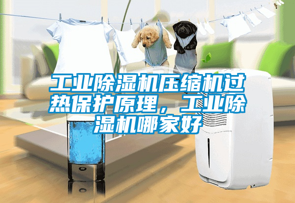 工業除濕機壓縮機過熱保護原理，工業除濕機哪家好