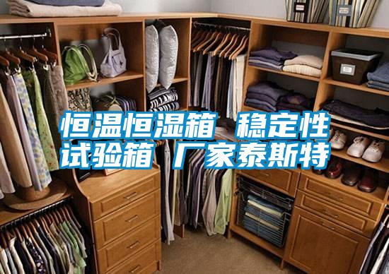 恒溫恒濕箱 穩定性試驗箱 廠家泰斯特