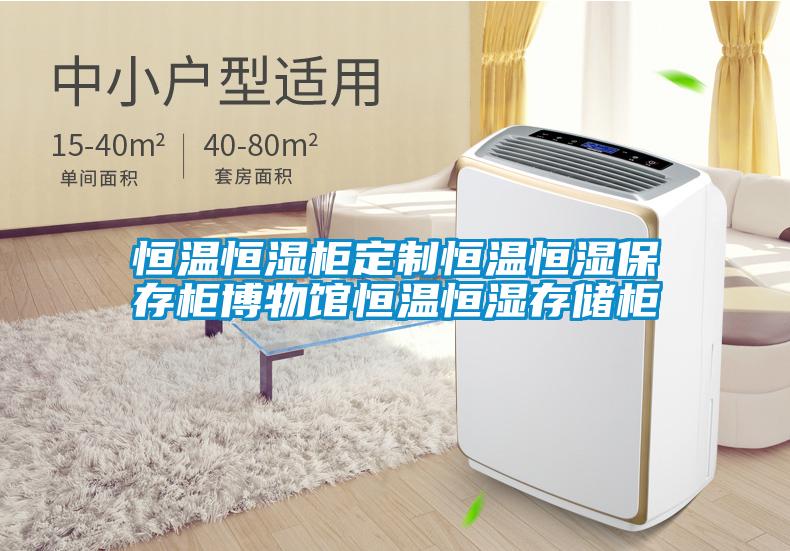 恒溫恒濕柜定制恒溫恒濕保存柜博物館恒溫恒濕存儲柜