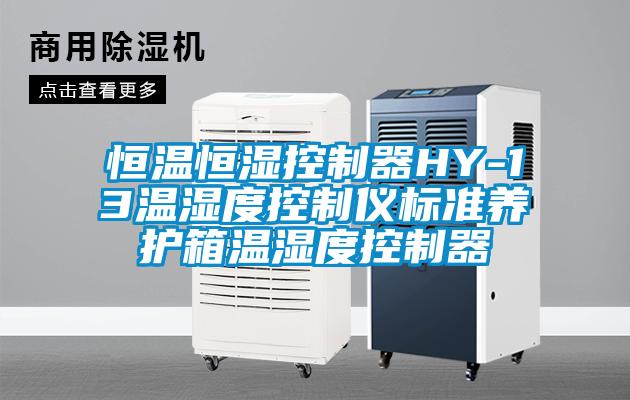 恒溫恒濕控制器HY-13溫濕度控制儀標準養護箱溫濕度控制器