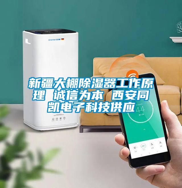 新疆大棚除濕器工作原理 誠信為本 西安同凱電子科技供應