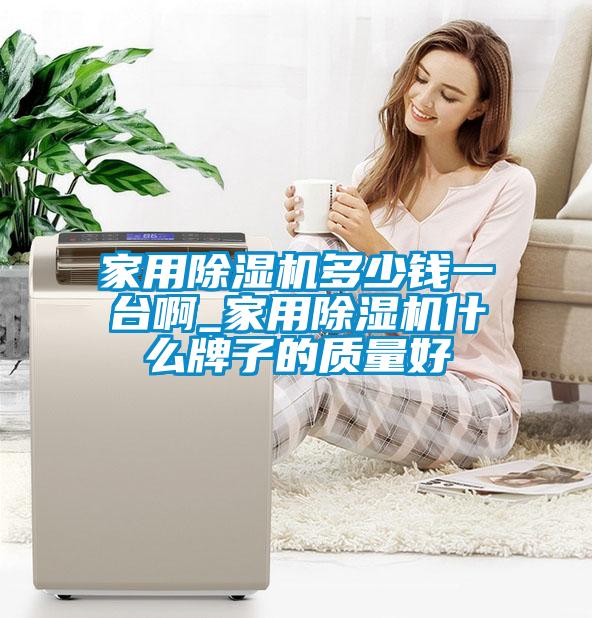 家用除濕機多少錢一臺啊_家用除濕機什么牌子的質量好