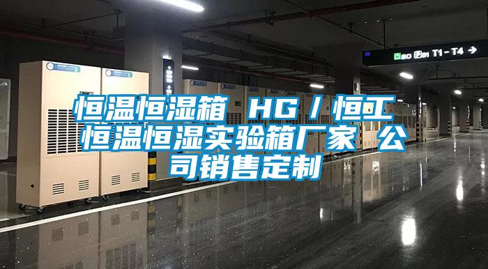 恒溫恒濕箱 HG／恒工 恒溫恒濕實驗箱廠家 公司銷售定制