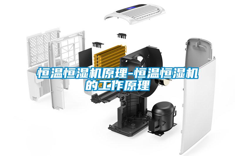 恒溫恒濕機原理-恒溫恒濕機的工作原理