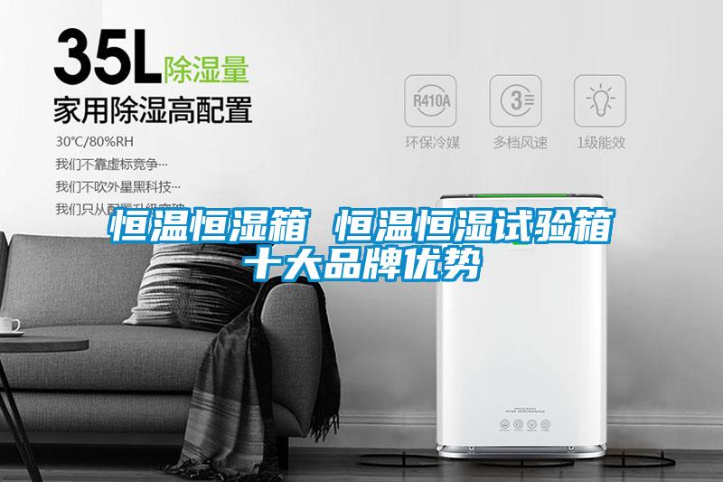 恒溫恒濕箱 恒溫恒濕試驗箱十大品牌優勢