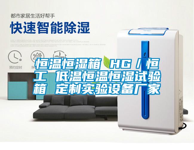 恒溫恒濕箱 HG／恒工 低溫恒溫恒濕試驗箱 定制實驗設備廠家