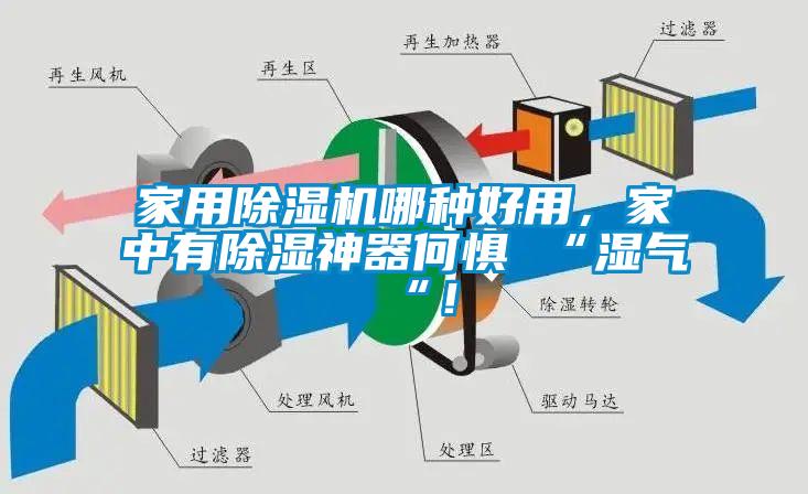 家用除濕機哪種好用，家中有除濕神器何懼 “濕氣 “！