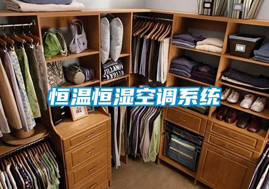恒溫恒濕空調(diào)系統(tǒng)