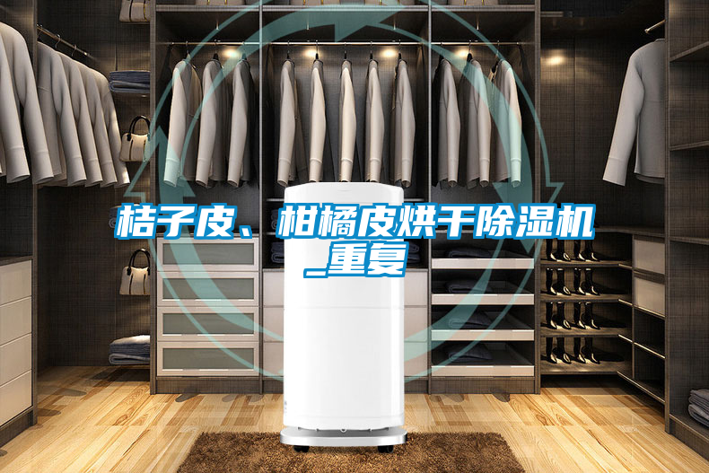 桔子皮、柑橘皮烘干除濕機_重復