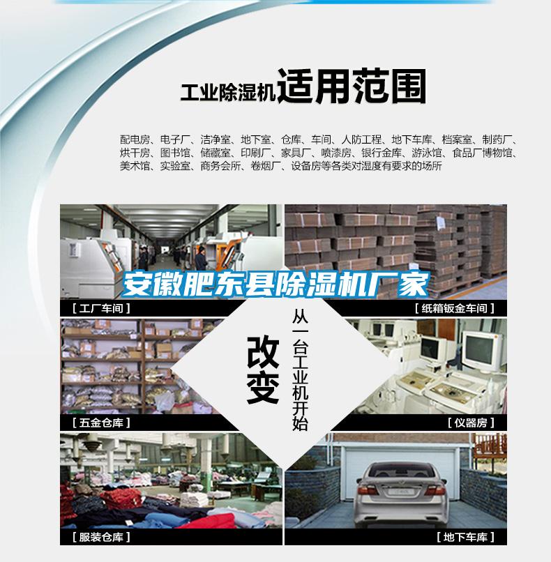 安徽肥東縣除濕機廠家