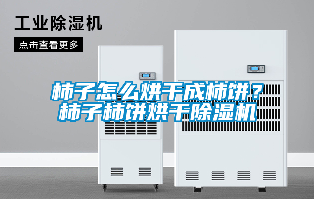 柿子怎么烘干成柿餅？柿子柿餅烘干除濕機