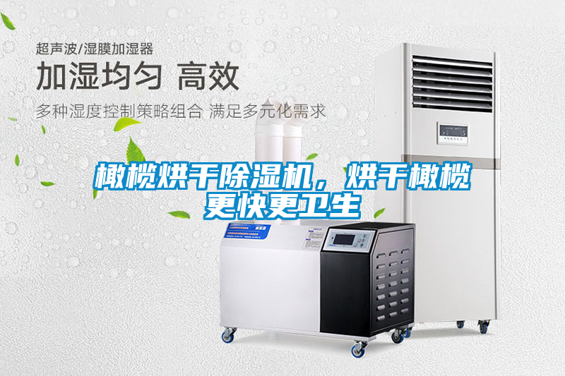 橄欖烘干除濕機(jī)，烘干橄欖更快更衛(wèi)生