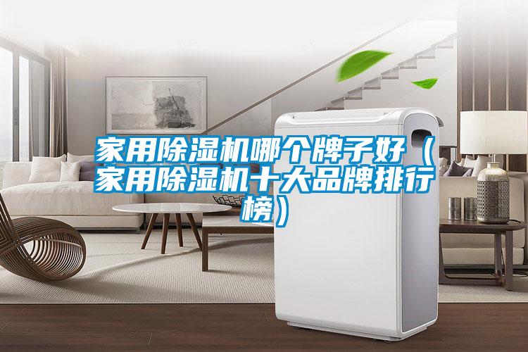 家用除濕機哪個牌子好（家用除濕機十大品牌排行榜）
