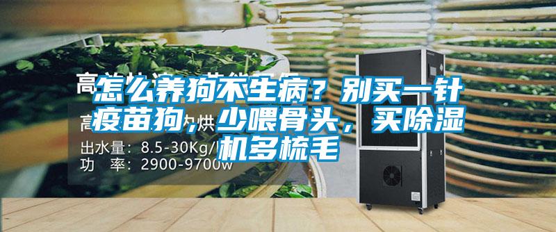 怎么養狗不生病？別買一針疫苗狗，少喂骨頭，買除濕機多梳毛
