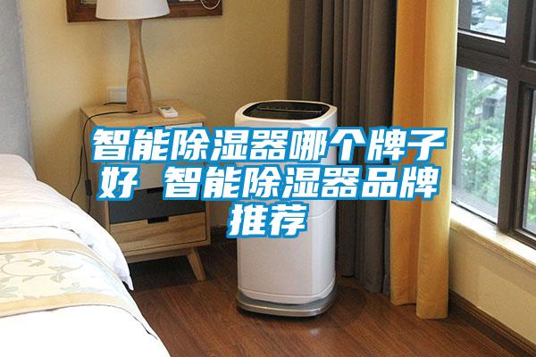 智能除濕器哪個牌子好 智能除濕器品牌推薦