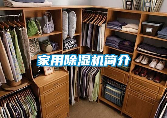 家用除濕機簡介