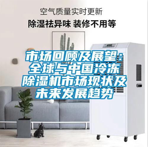 市場回顧及展望：全球與中國冷凍除濕機(jī)市場現(xiàn)狀及未來發(fā)展趨勢